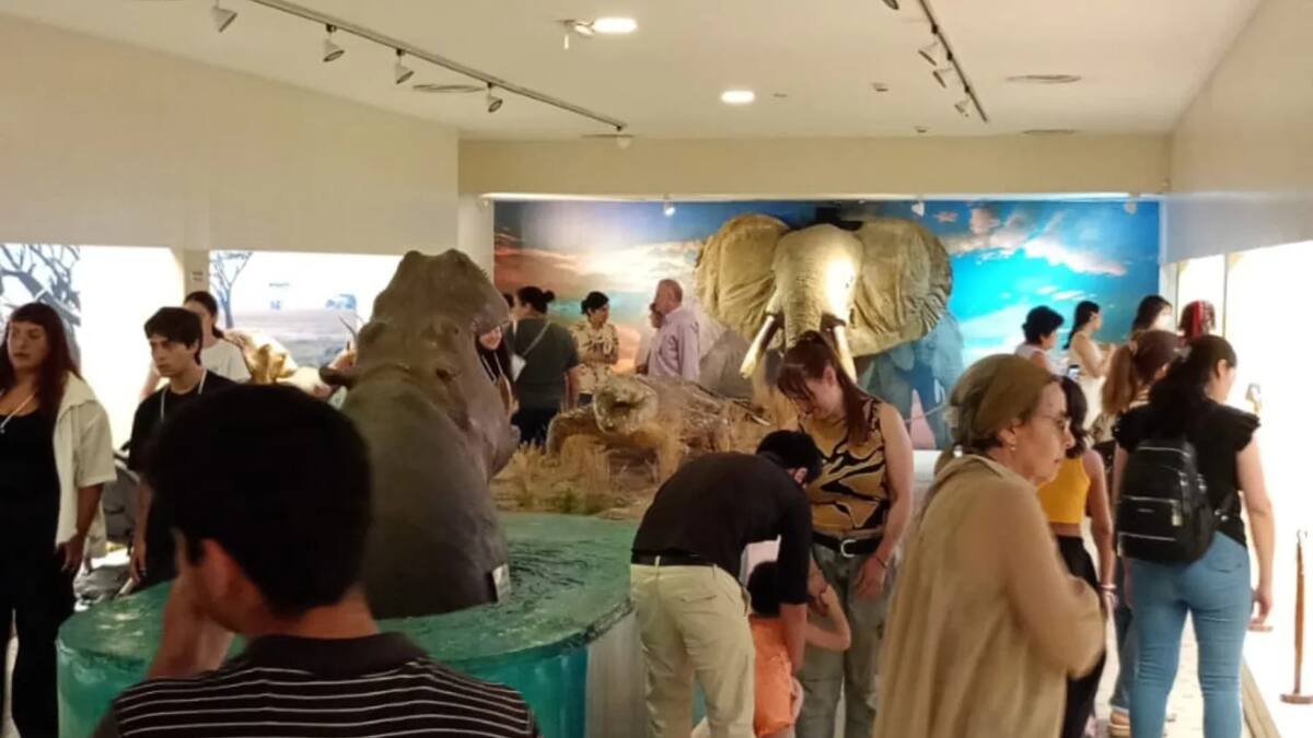 Los 6 museos argentinos más originales dignos de conocer.