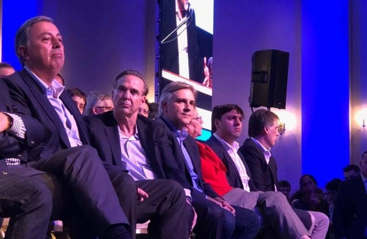 Miguel Pichetto, Peronismo, PJ, Partido Justicialista