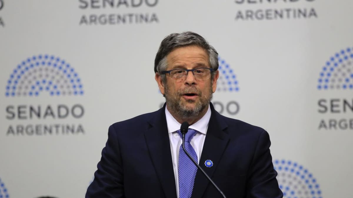 Ministro de salud, Adolfo Rubinstein, en debate por la ley de aborto - NA -