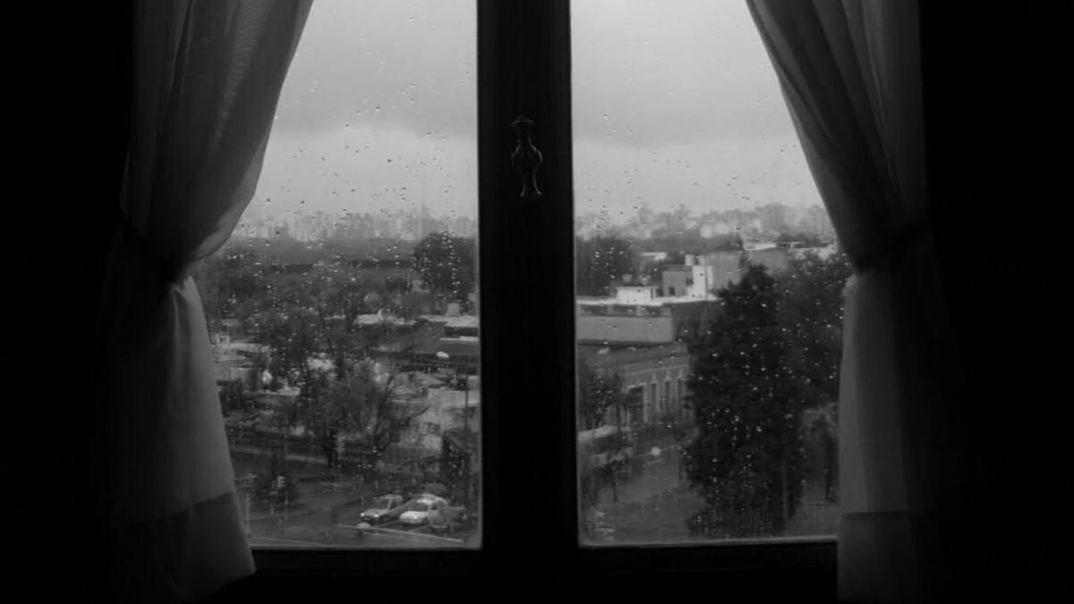 Mirando desde la ventana