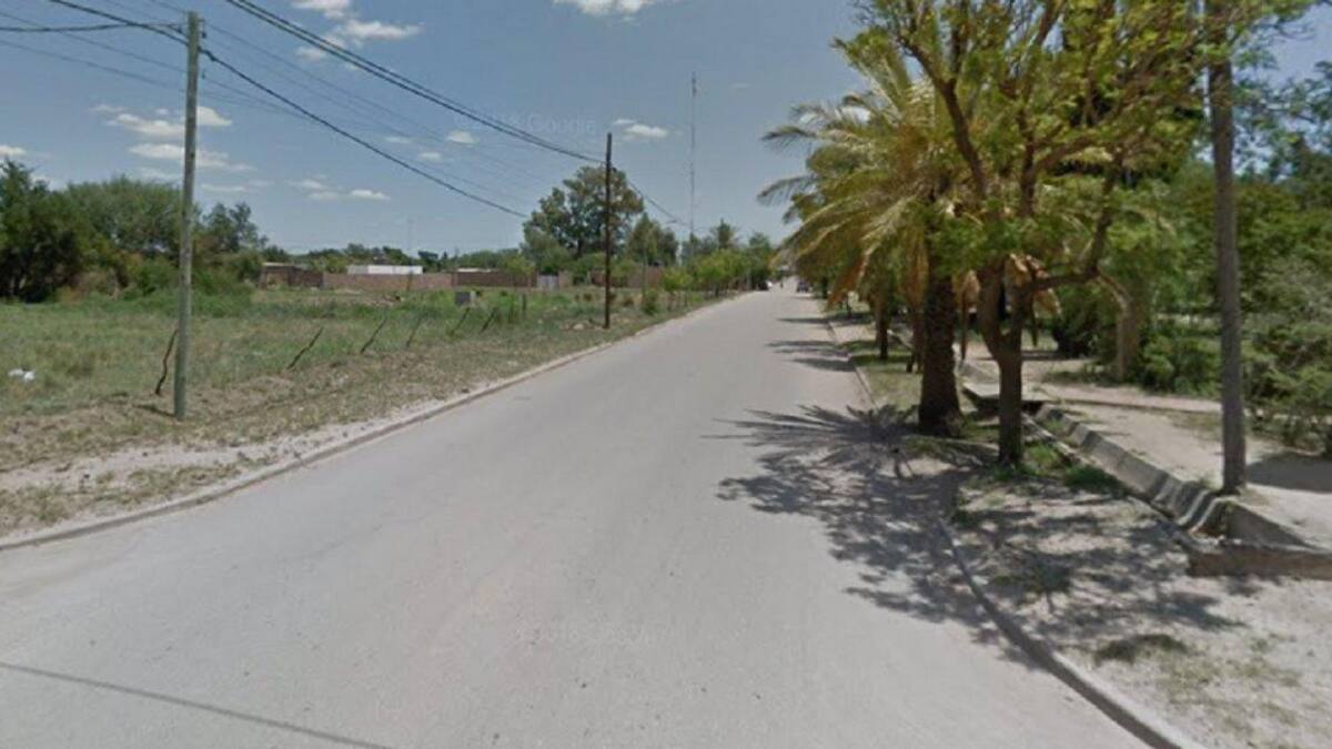 Misterio por gorila suelto en San Luis