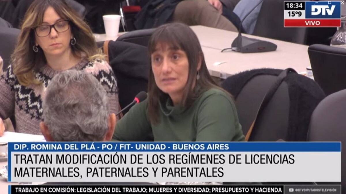 Modificación de licencias maternales, peternales y parentales. Foto: DTV.