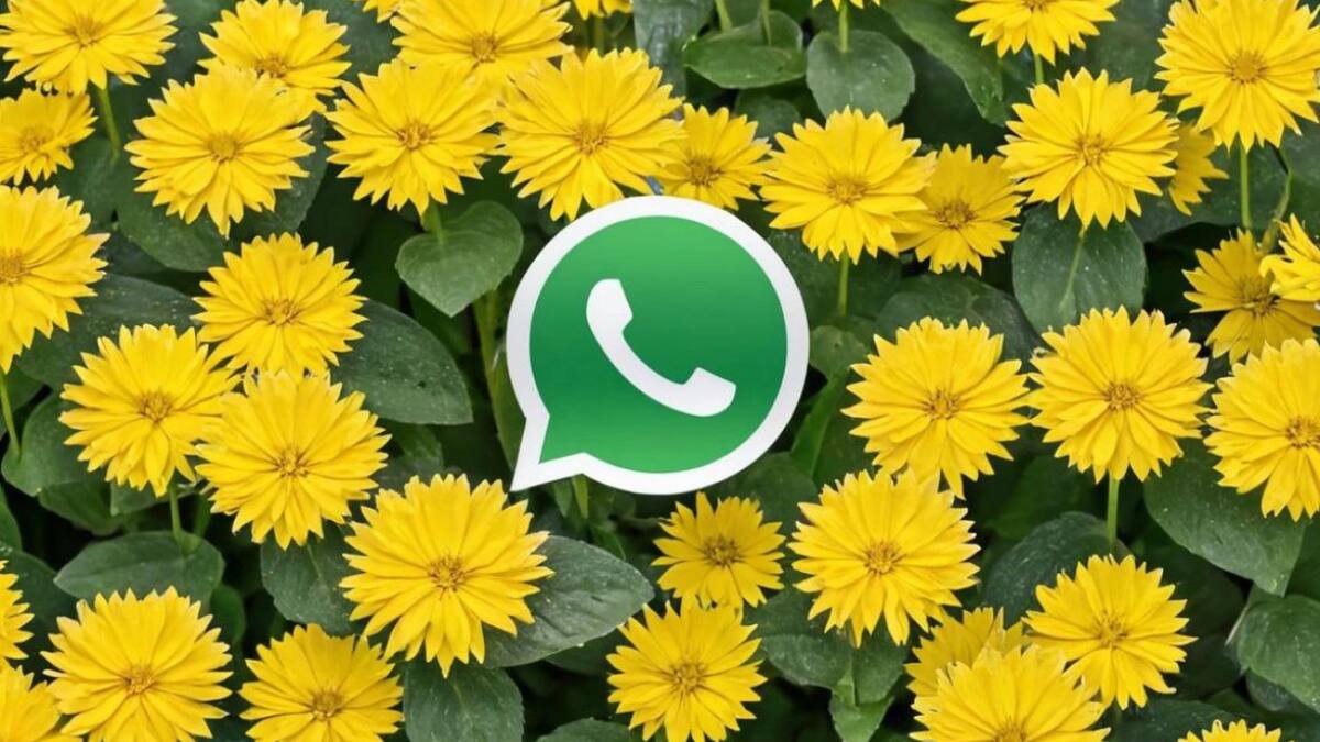 Modo flores amarillas” en WhatsApp. Foto: IA