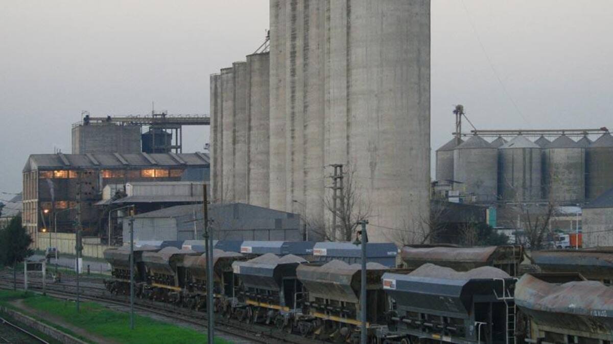 Molino Cañuelas, empresa