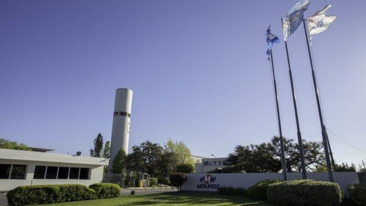 Molinos, empresa