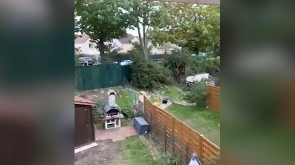 Momento en que la policía mató a terrorista que decapitó a profesor en Francia