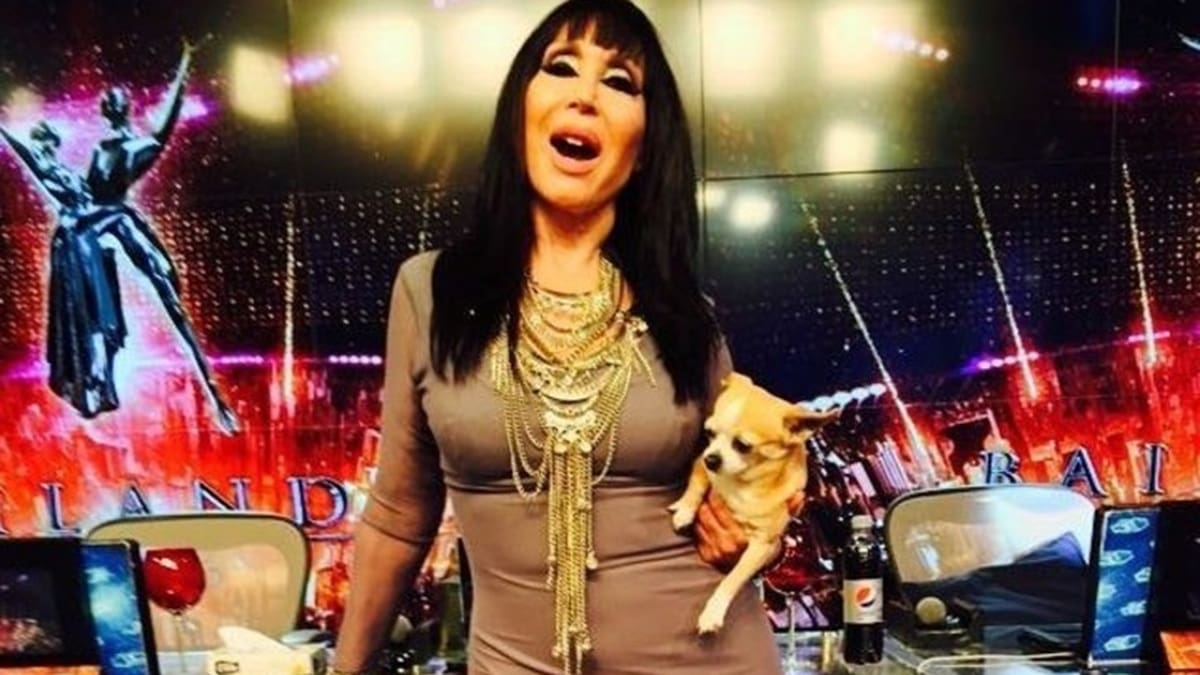 Qué pasó con Kristóbal, el icónico chihuahua de Moria Casán que vivió como una celebridad y brilló en el Bailando