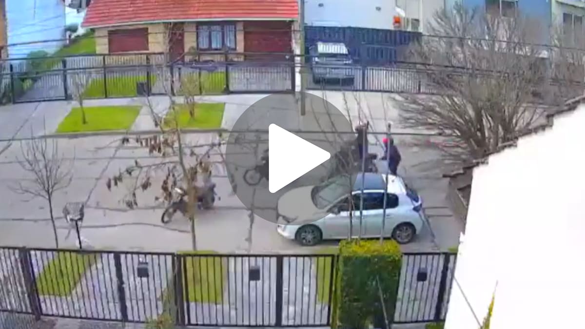 Brutal ataque en Mar del Plata: seis delincuentes armados robaron de forma violenta un auto a plena luz del día