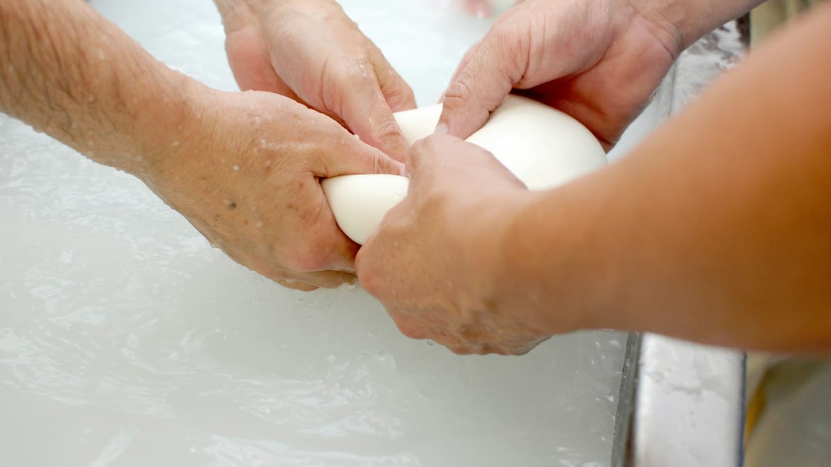 El evento que todo amante del queso debe visitar: cuándo y dónde se realiza la Fiesta Provincial de la Mozzarella