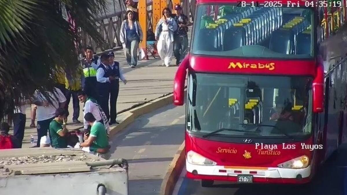 Tragedia en la Copa Libertadores: murió un hincha de Palmeiras en Lima en la previa a la final con Flamengo