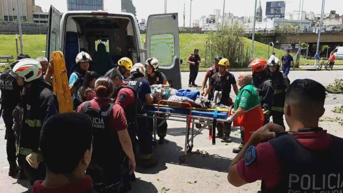 Mujer aplastada por árbol en Constitución