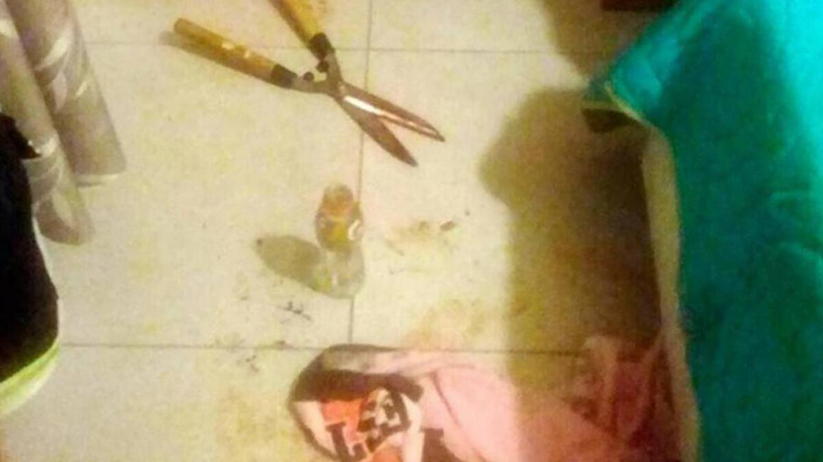 Mujer corta genitales
