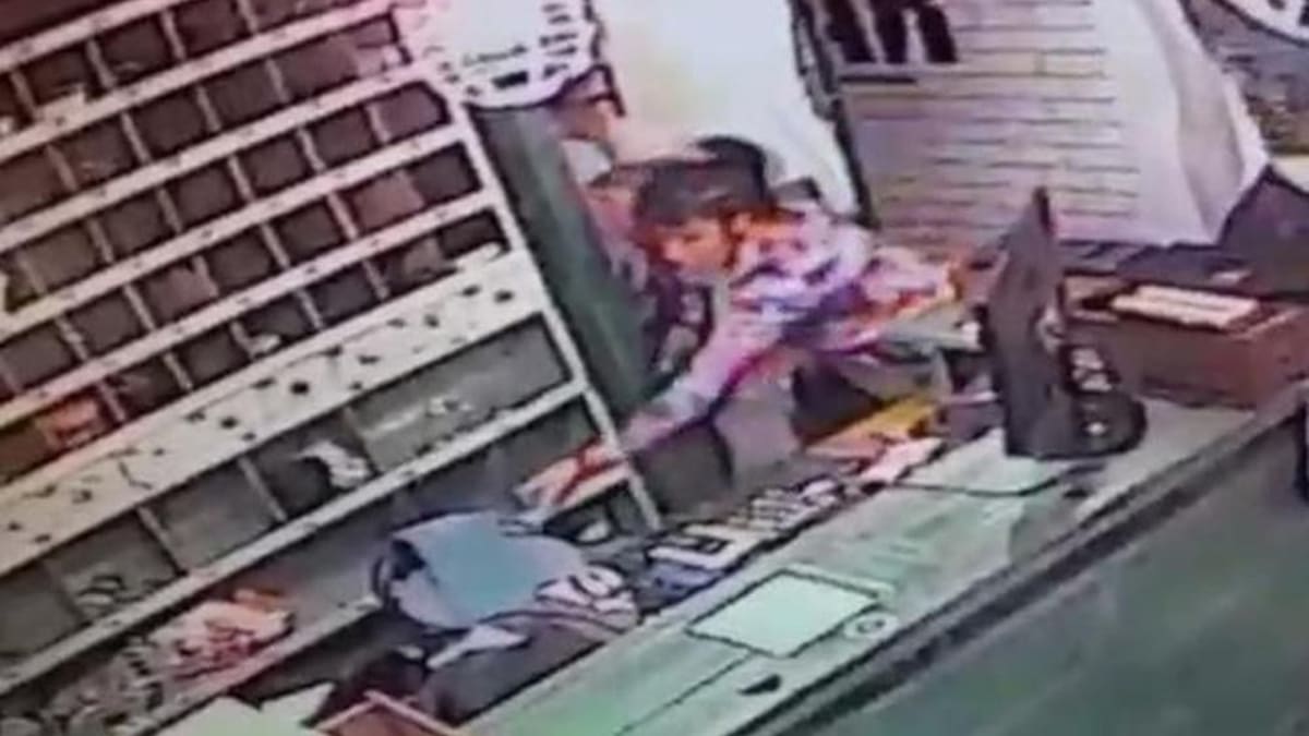 Mujer policía robando - La Plata