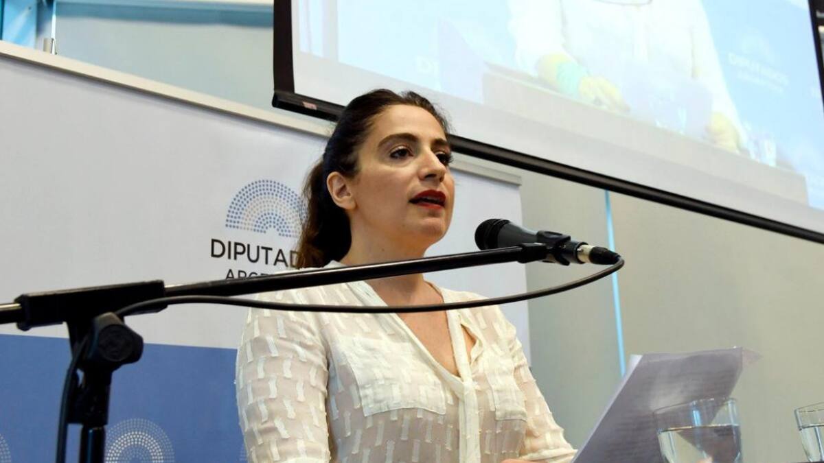 Muriel Santa Ana en Diputados por la despenalización del aborto - Twitter @DiputadosAR