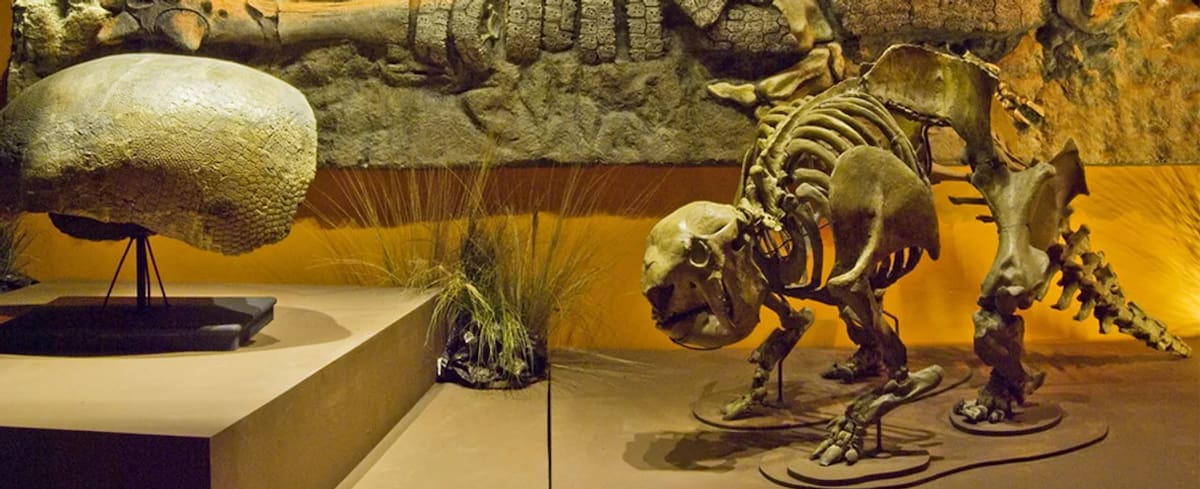 Museo Argentino de Ciencias Naturales. Foto: NA