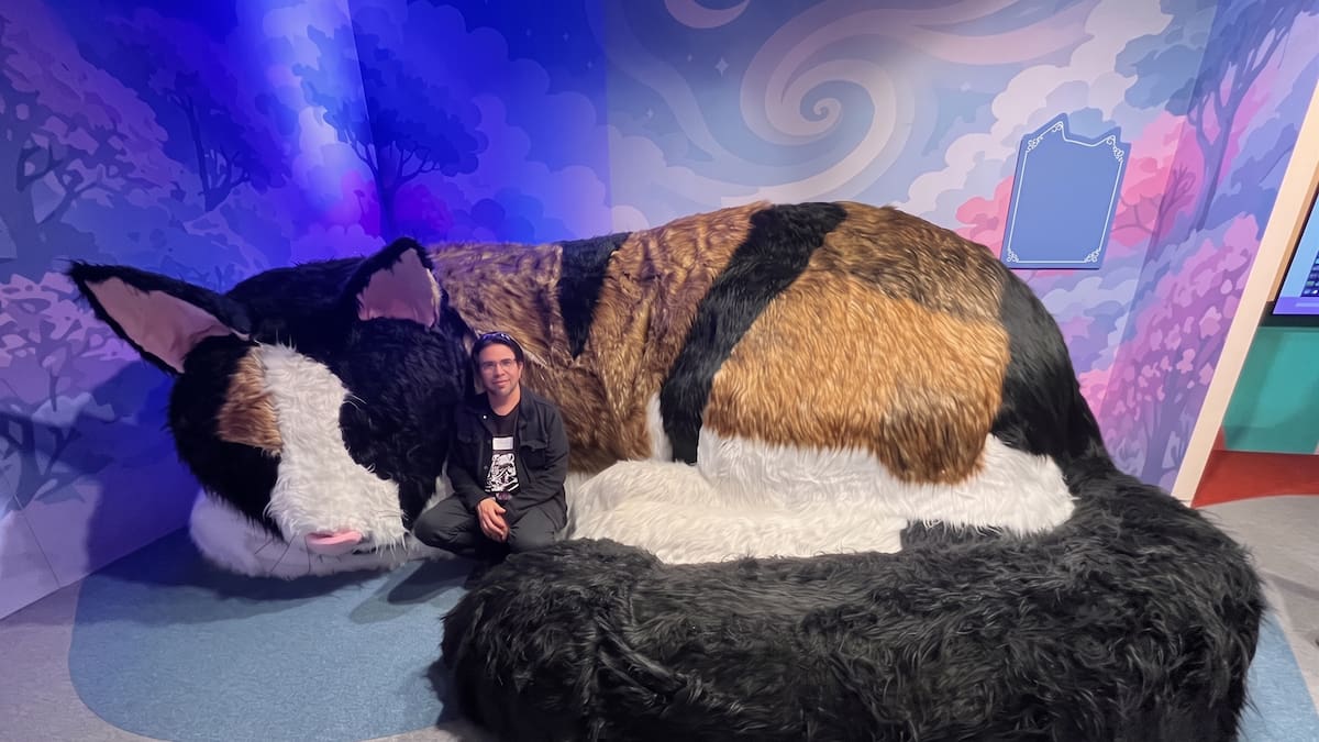 Una experiencia única en el mundo para los amantes de los “michis”: abrió el Museo del Gato, con un domo de ronroneos y salas inmersivas