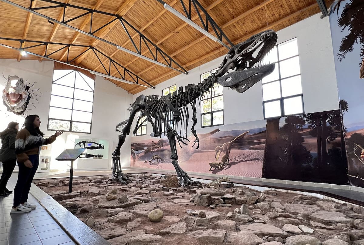 Museo Paleontológico Municipal Ernesto Bachmann, Neuquén. Foto: Pato Daniele