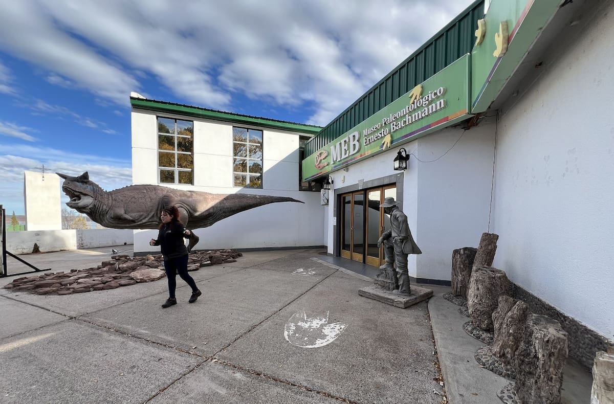Museo Paleontológico Municipal Ernesto Bachmann, Neuquén. Foto: Pato Daniele