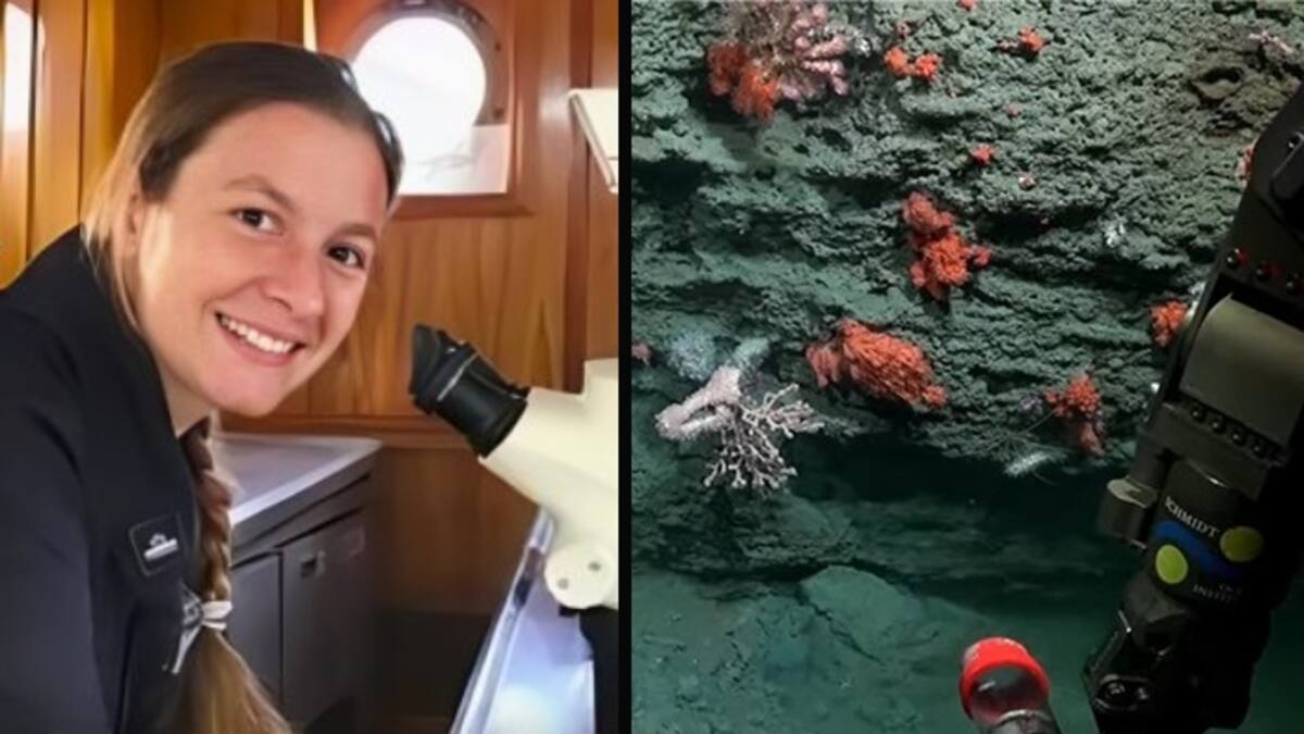 Nadia Coralina investigadora del CONICET