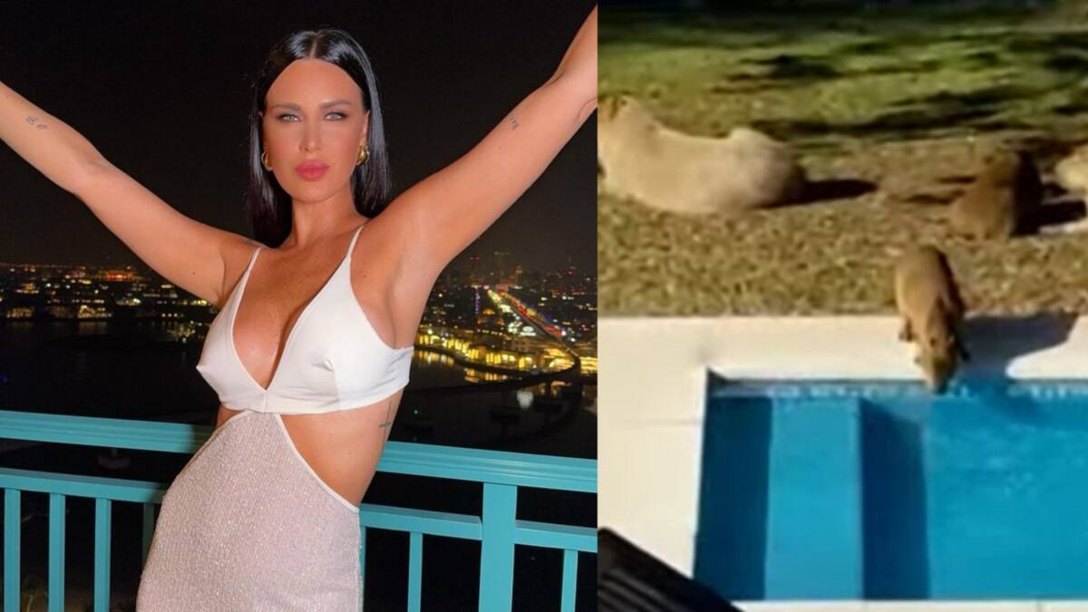 Natalie Weber se quejó de los carpinchos en su casa. Fotos: Instagram - captura América TV.