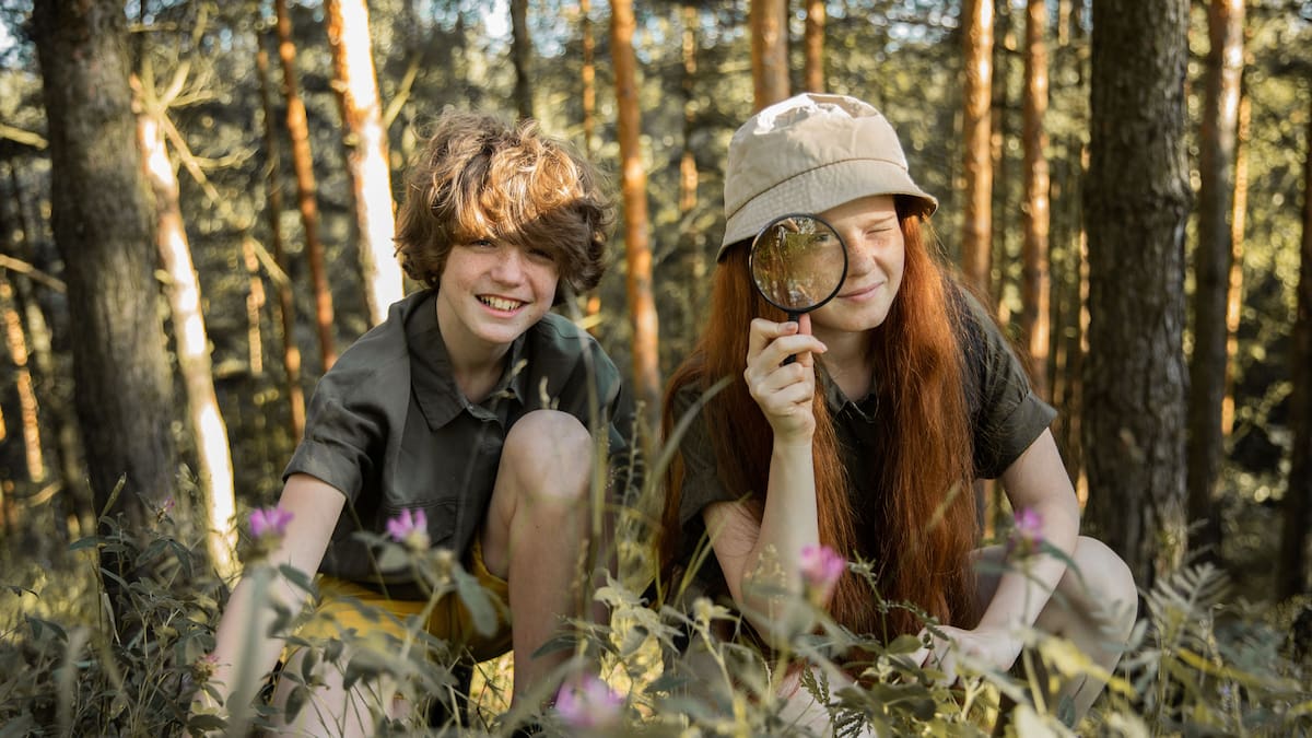 Safari de Invierno 2026: cómo participar de la iniciativa gratuita para registrar la biodiversidad argentina