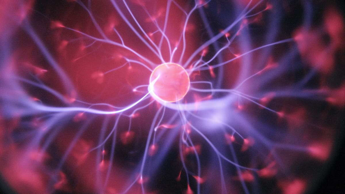 Neurona, sistema nervioso, cerebro. Foto: Unsplash