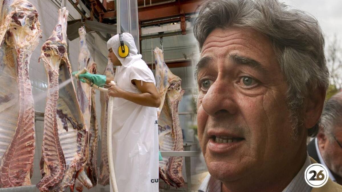 Nicolás Pino, carne, exportaciones, NA