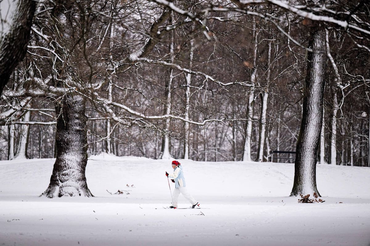 Nieve. Foto: NA.