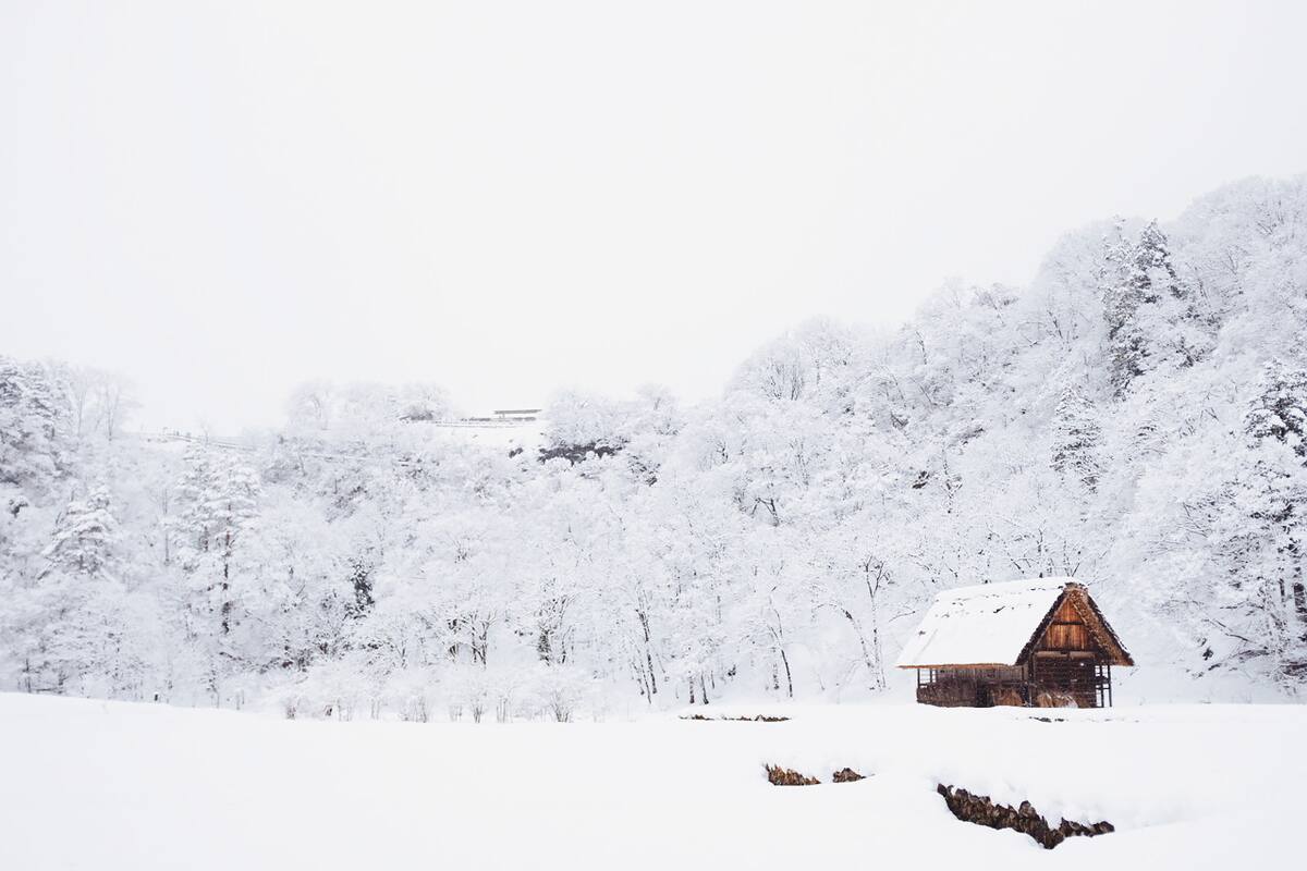 Nieve, invierno, frio. Foto Unsplash.