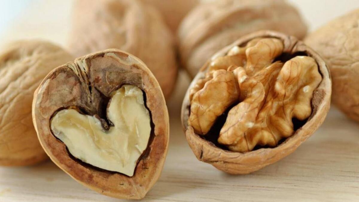 Nueces, alimentación