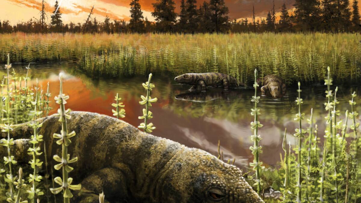 Nueva especie de reptil fue encontrada en Mallorca. Foto: Twitter @Foravila_IB