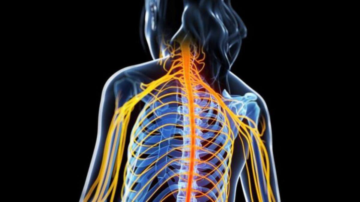 NUEVO TRATAMIENTO CONTRA LA ESCLEROSIS MÚLTIPLE