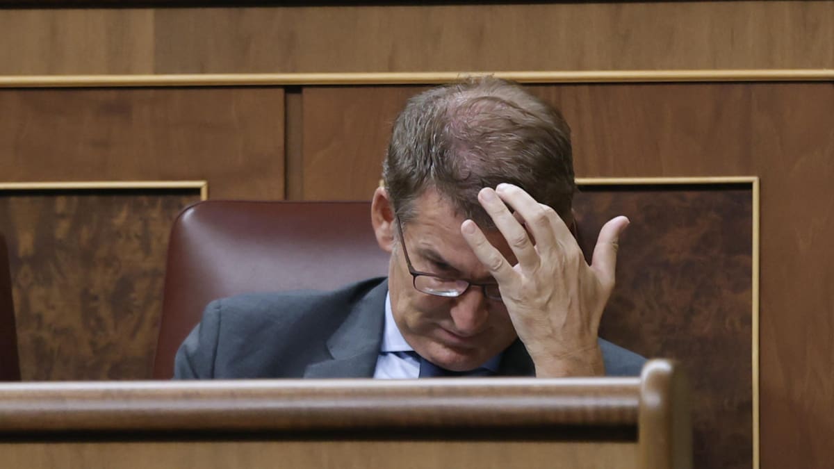 Núñez Feijóo. Foto: EFE.
