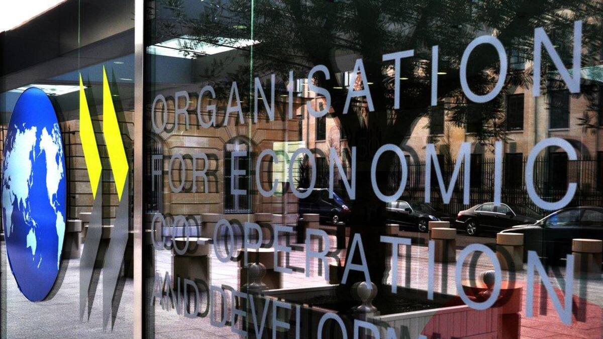 OCDE, análisis sobre Argentina, economía