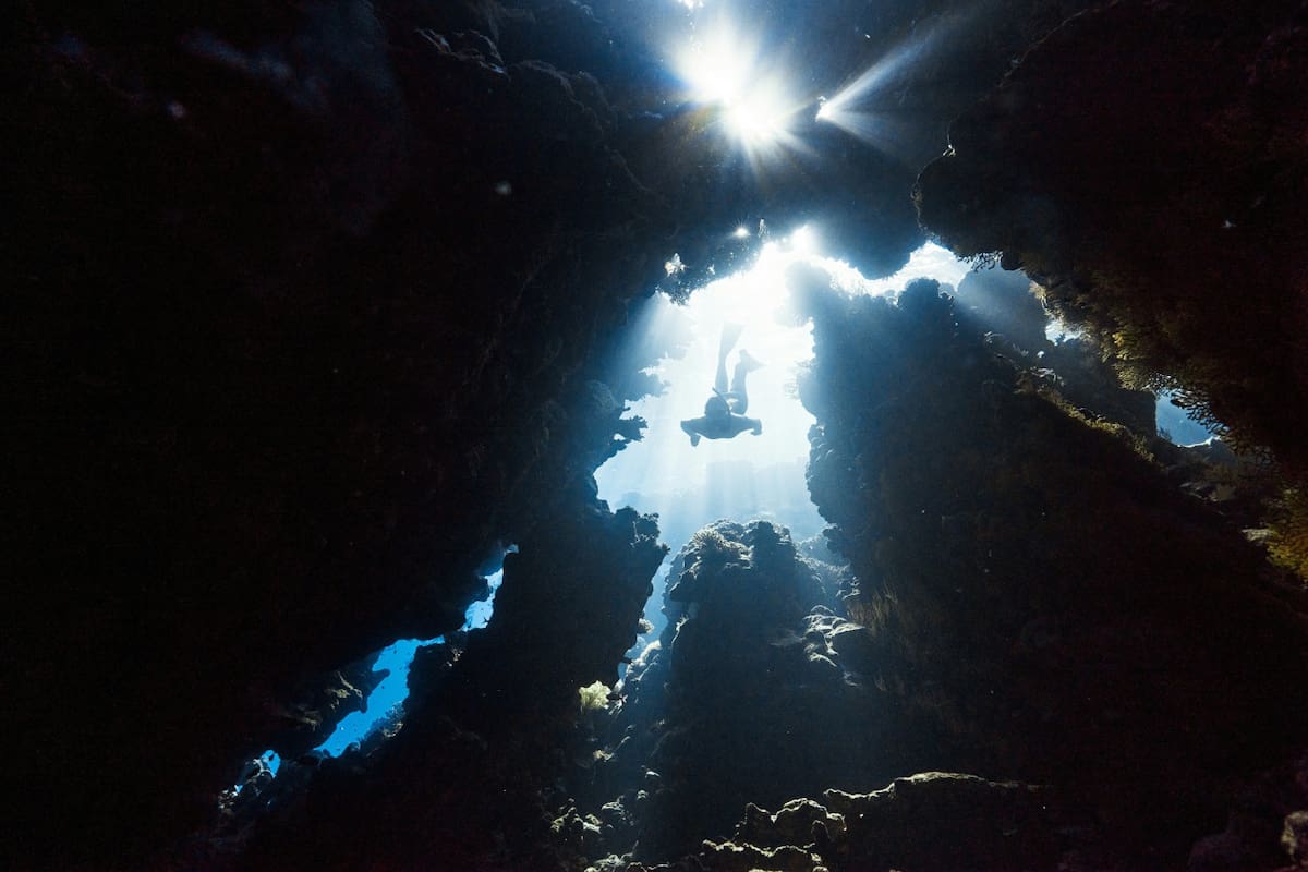 Océano, descubrimiento, coral. Foto Unsplash.