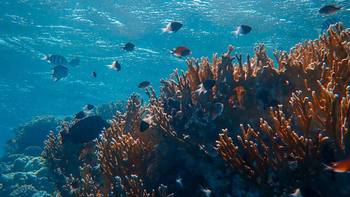 Océano, mar, agua. Foto: Unsplash