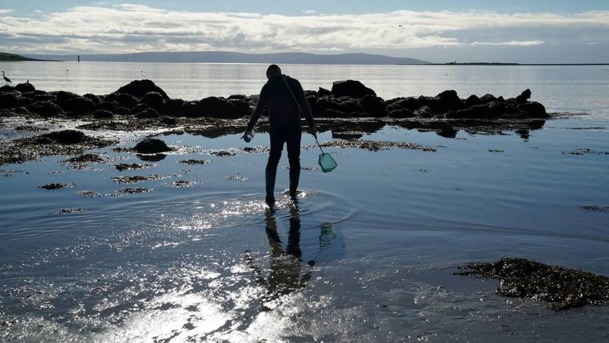 Océano, medio ambiente. Foto: REUTERS