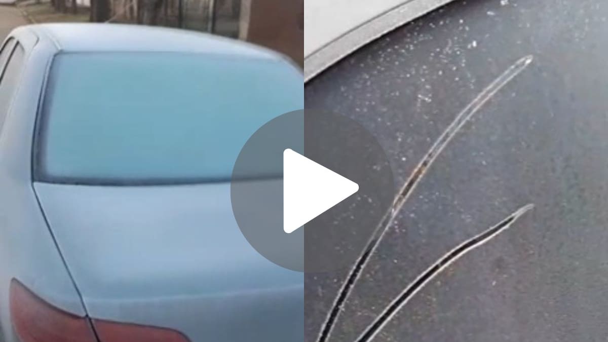 VIDEO | Mostró su auto congelado por la ola polar en Buenos Aires y la impactante postal sorprendió a todos: “No se puede creer”