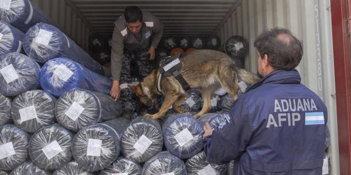 Operativo conjunto de Aduana y AFIP, foto Aduana