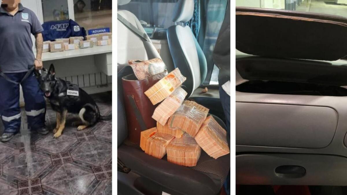 Operativo de Aduana en Río Gallegos. Foto: Prensa.