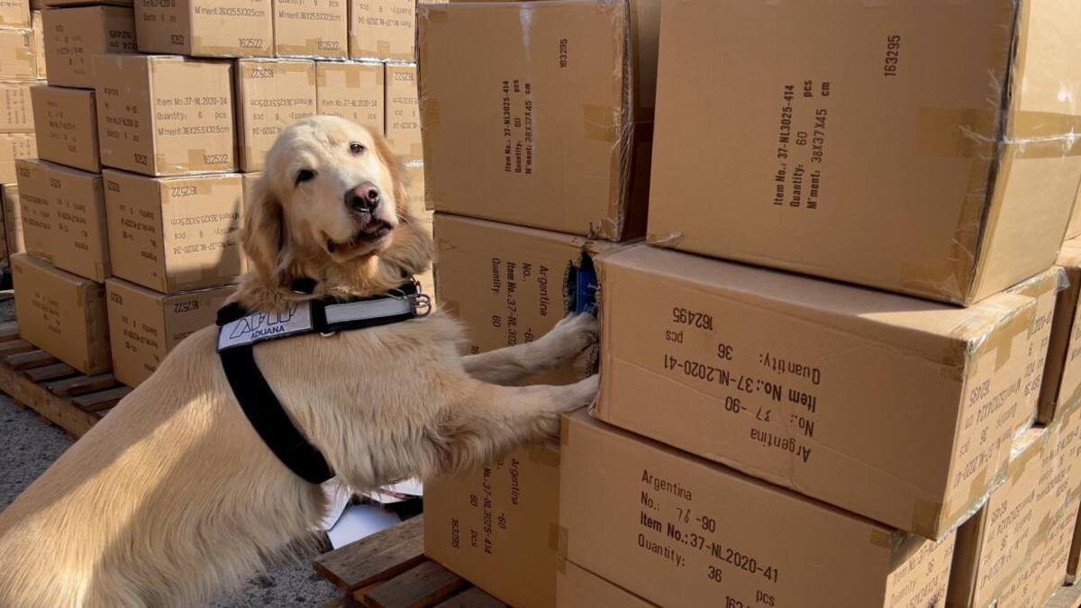 Operativo de Aduana por contrabando de juguetes. Foto: Prensa.