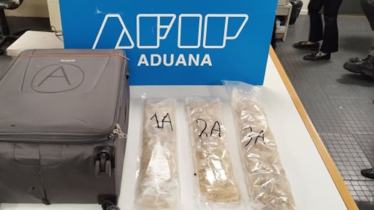Operativo policial de Aduana en Ezeiza. Foto: prensa