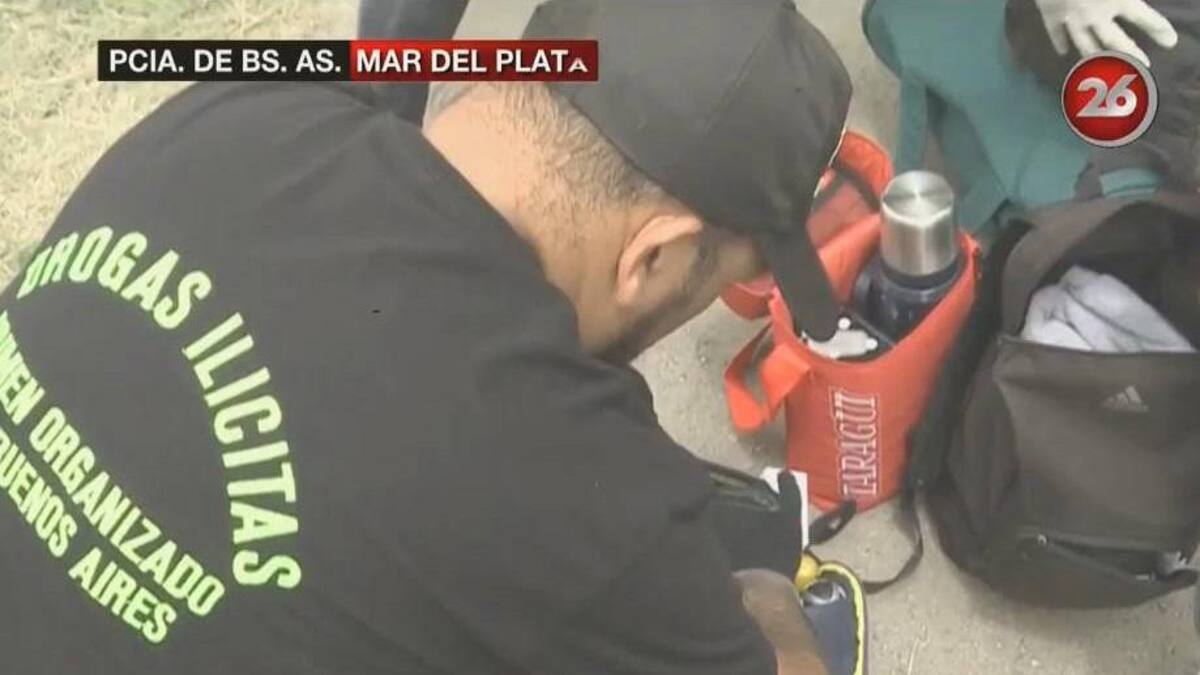 Operativo Sol incauta droga en Mar del Plata (Canal 26)