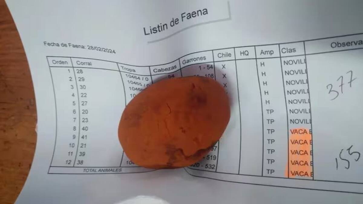 Rosario: un trabajador de supermercado detenido por robar "oro bovino", usado en Asia como medicina y afrodisíaco