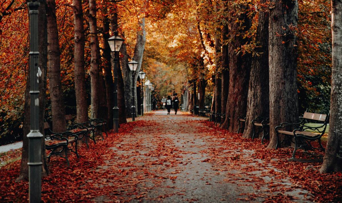 Otoño. Foto: Unsplash.