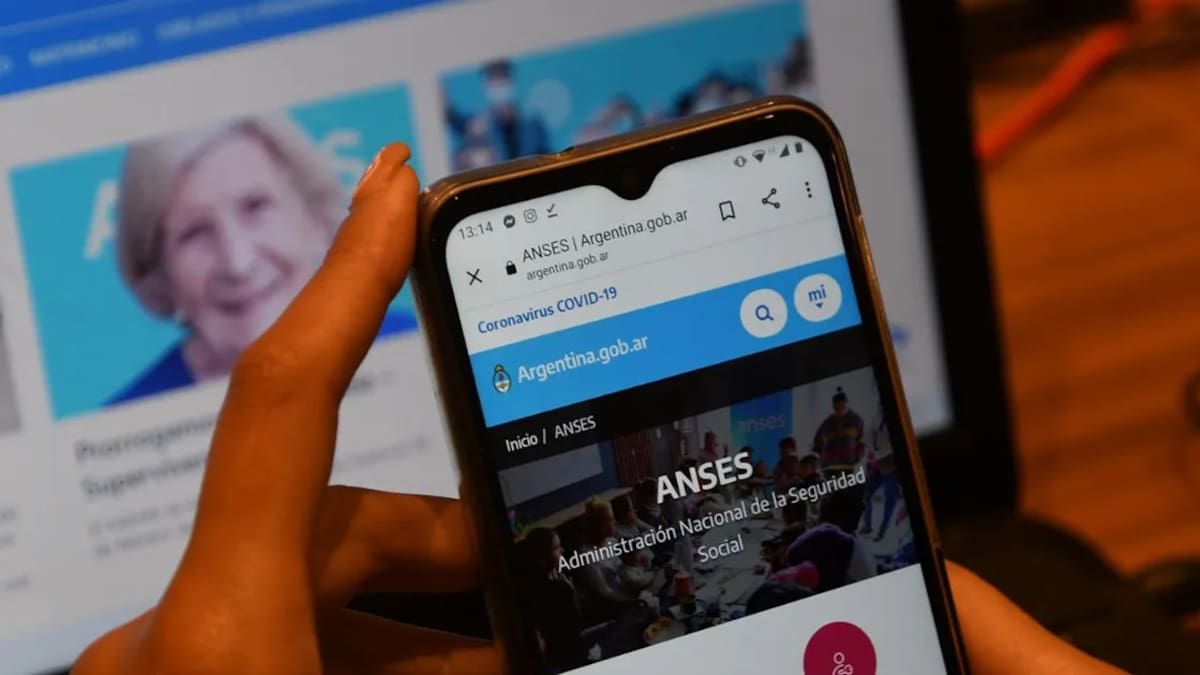 Página web de la ANSES.