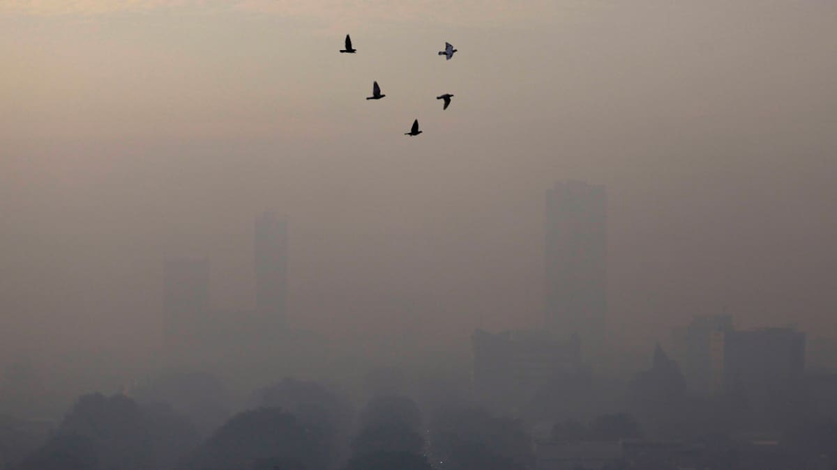 Pájaros vuelan en una mañana con humo en Yakarta, Indonesia. Foto: Reuters.