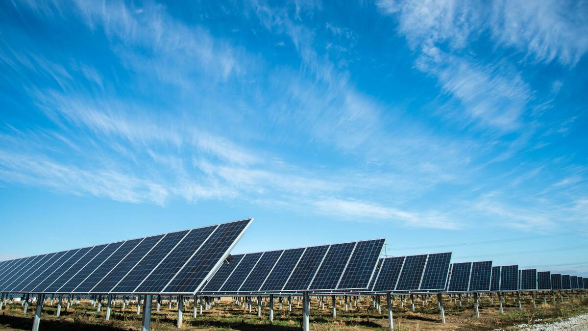 Paneles solares. Foto: Unsplash