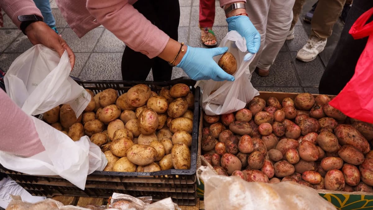 Más que un alimento: revelan que la papa permitió la evolución genética en una región clave de Sudamérica