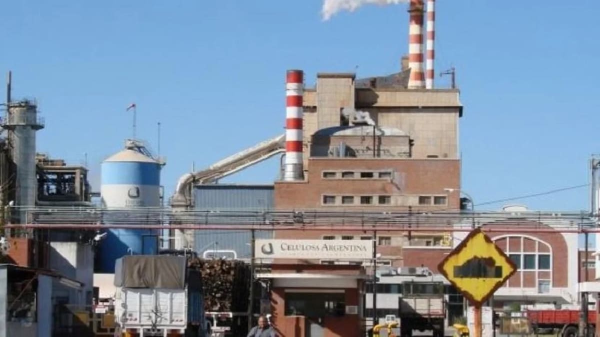 Se confirmó la venta de Celulosa: quién es el empresario que la compró a tan solo 1 dólar